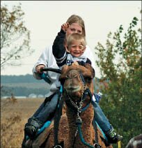 Heirloom_Camel ride.tif