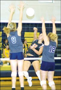 MV VB 33-2.tif