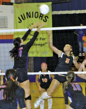 EHS vs MV VB.tif