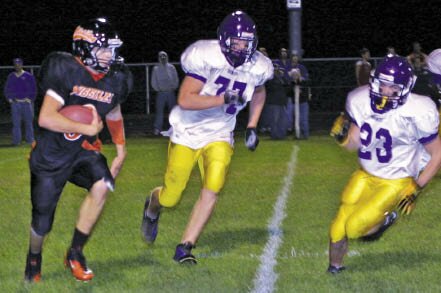 MV vs Orgvl FB.tif